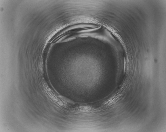 X0000056360391200508261343