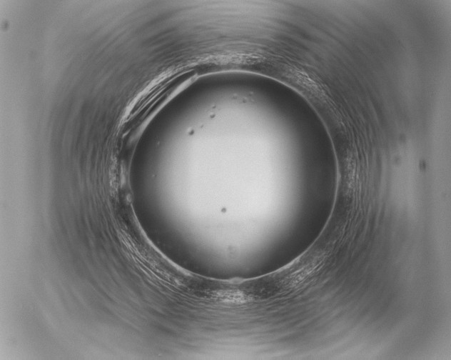 X0000056360392200508261343