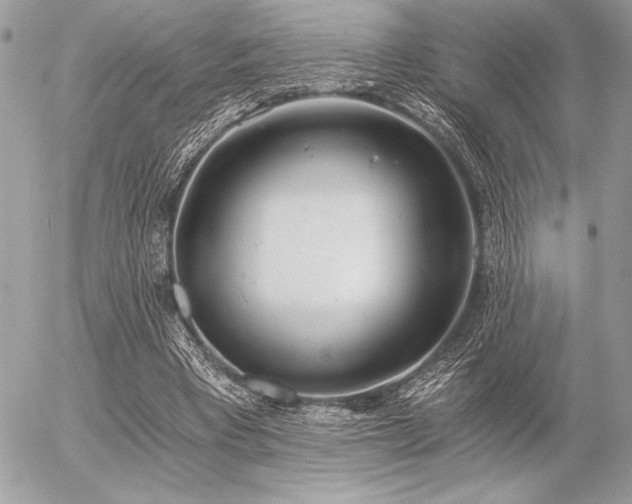 X0000056360393200508261343