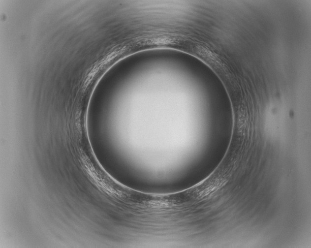 X0000056360394200508261343