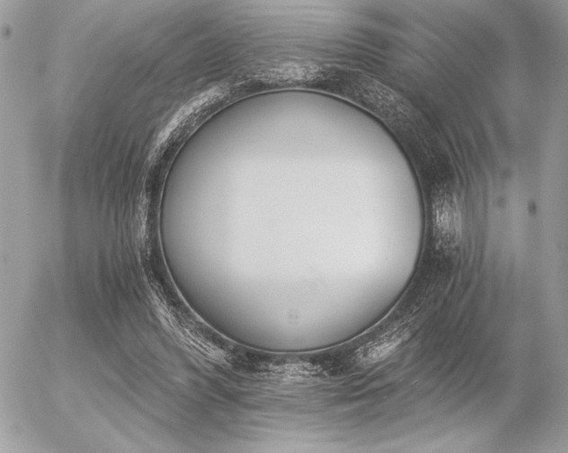 X0000056360396200508261342