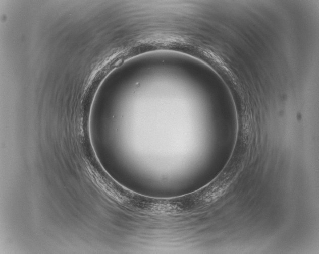 X0000056360399200508261342