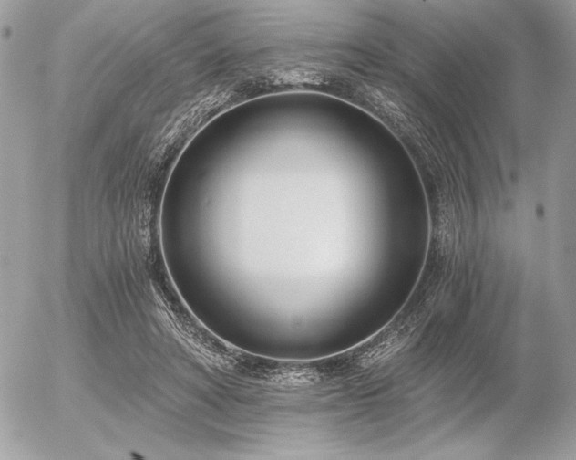 X0000056360402200508261342