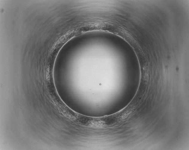 X0000056360403200508261342