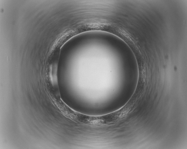 X0000056360407200508261342