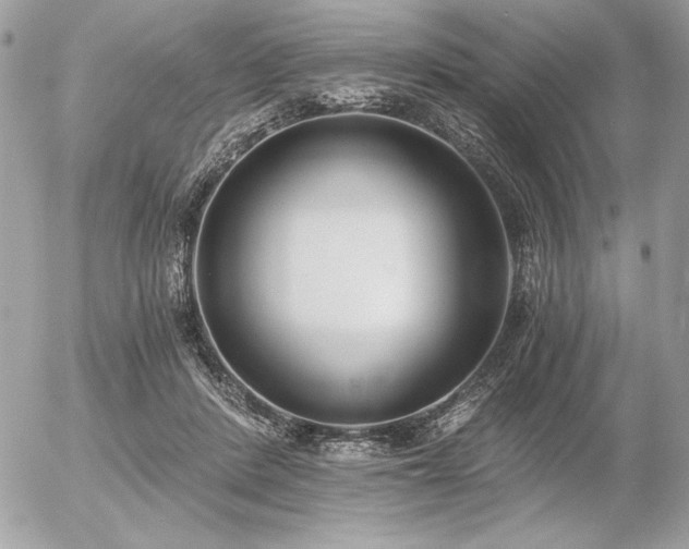 X0000056360408200508261342