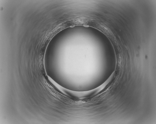 X0000056360409200508261342