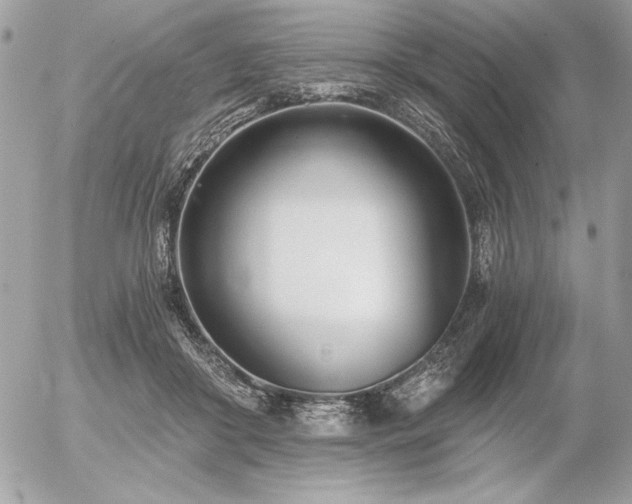 X0000056360410200508261342