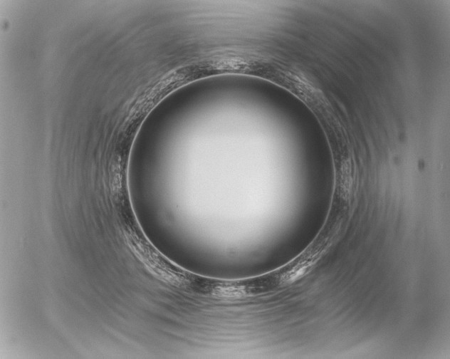 X0000056360413200508261342