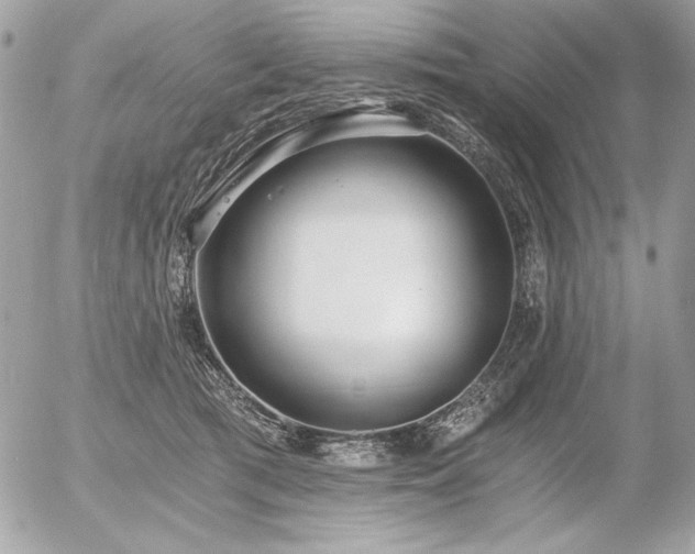 X0000056360417200508261342