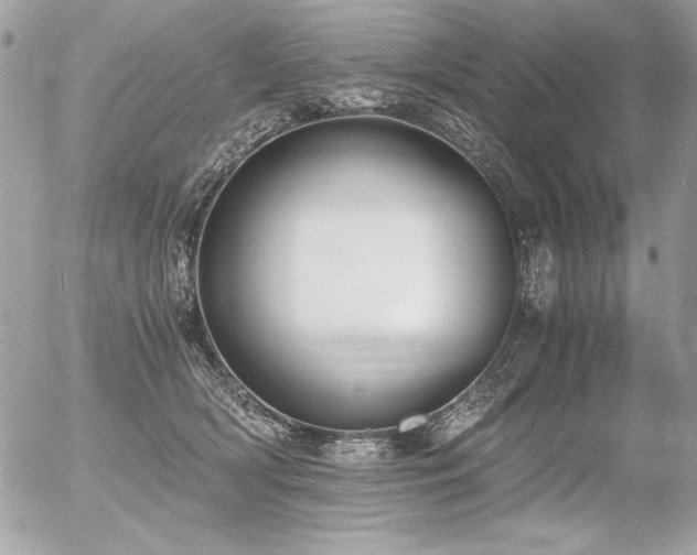 X0000056360418200508261342