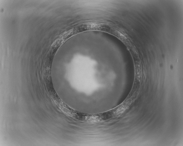 X0000056360419200508261342