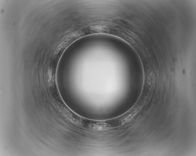 X0000056360420200508261342