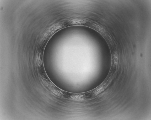 X0000056360422200508261342