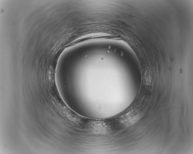 X0000056360424200508261342