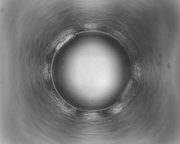 X0000056360428200508261342