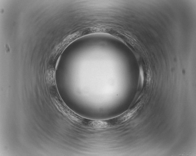 X0000056360429200508261342