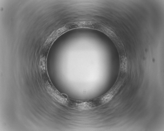 X0000056360430200508261342