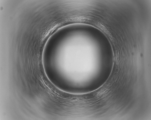 X0000056360434200508261341