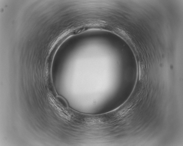 X0000056360435200508261341
