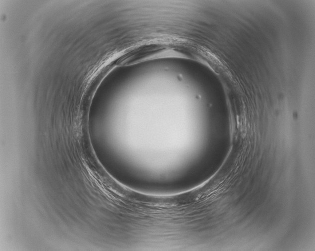 X0000056360436200508261341