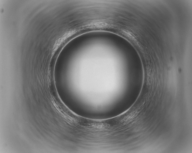 X0000056360439200508261341