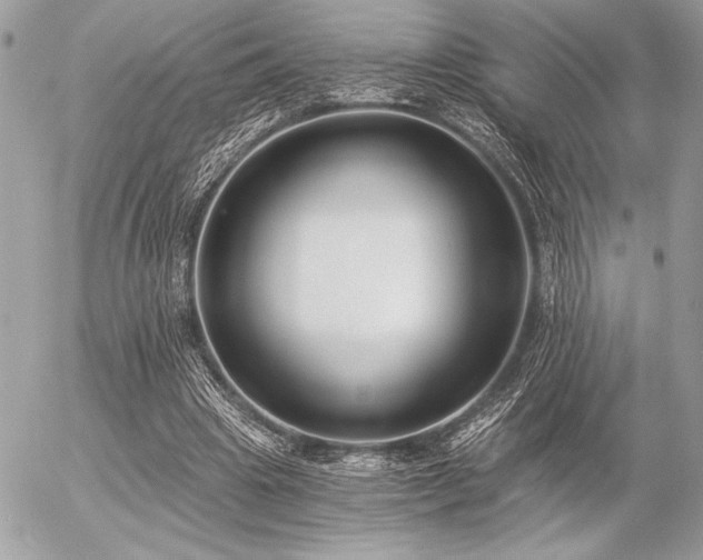 X0000056360441200508261341