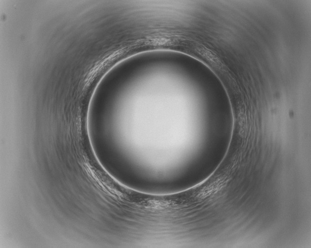 X0000056360442200508261341