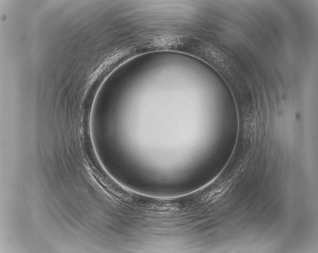 X0000056360443200508261341