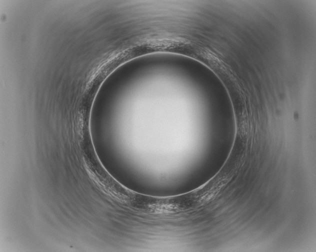 X0000056360448200508261341