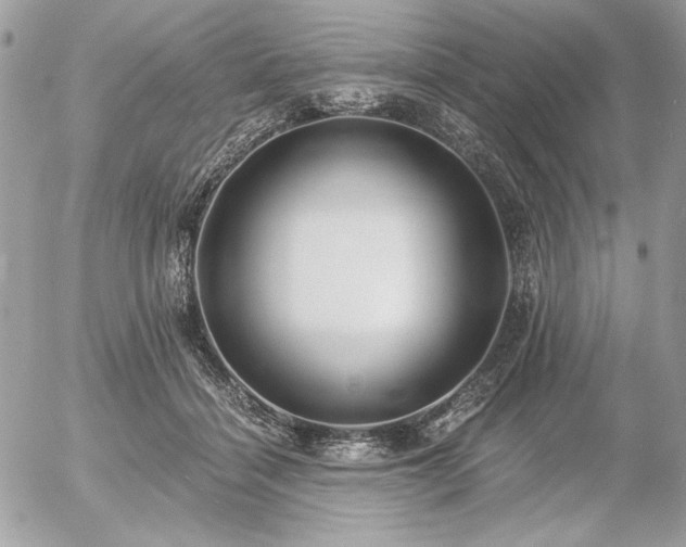 X0000056360460200508261342