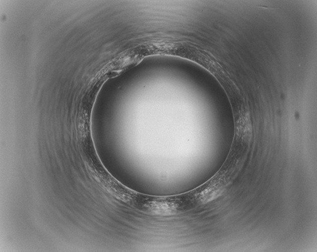 X0000056360464200508261342