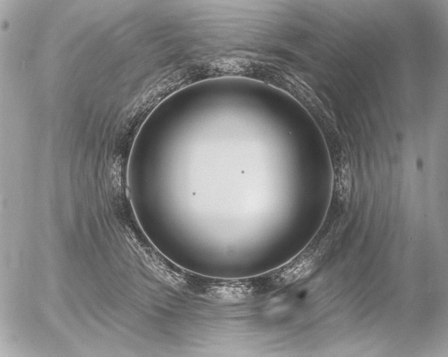 X0000056360466200508261342