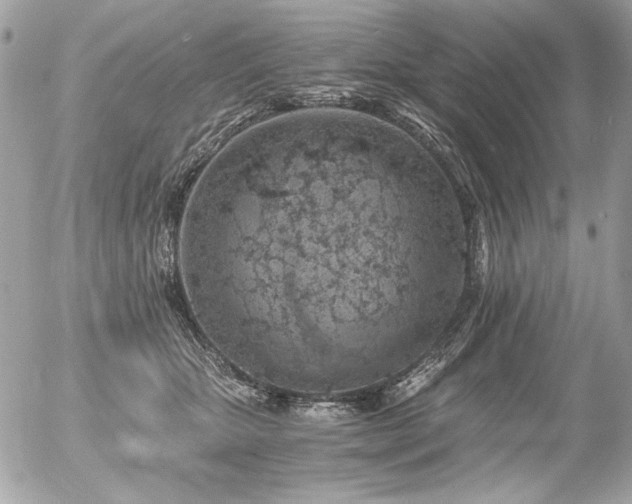 X0000056360467200508261342