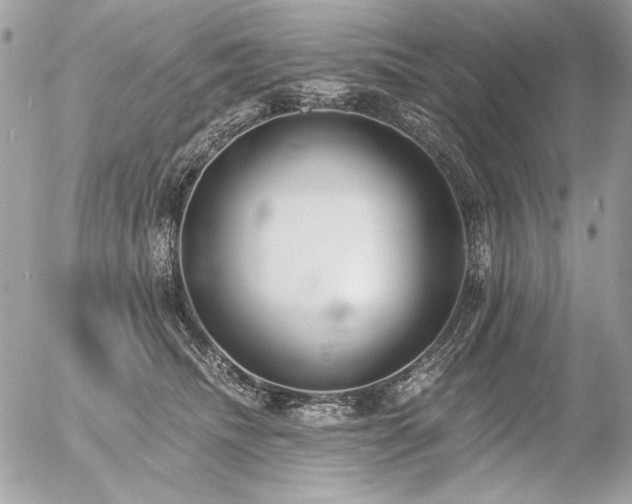 X0000056360468200508261342