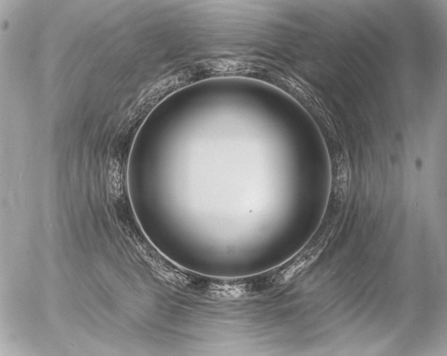 X0000056360469200508261342