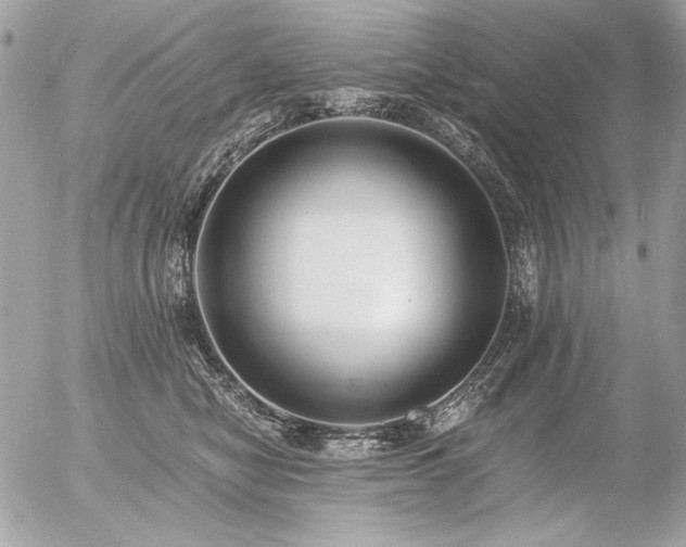 X0000056360470200508261342