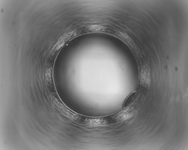 X0000056360473200508261342