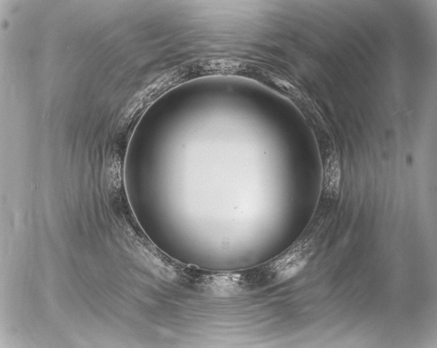 X0000056360474200508261342