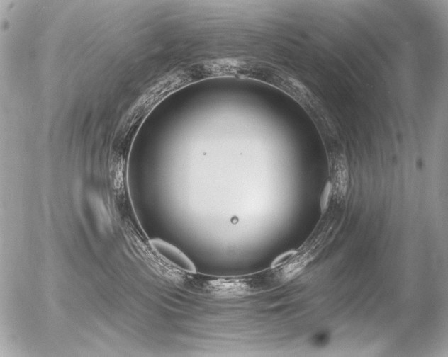 X0000056360477200508261342