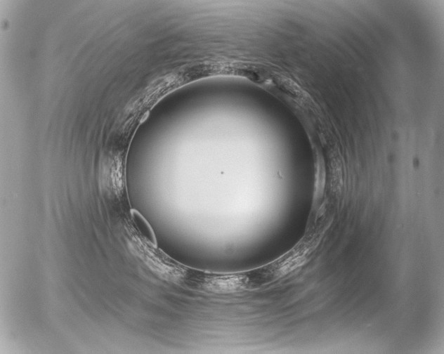 X0000056360479200508261342