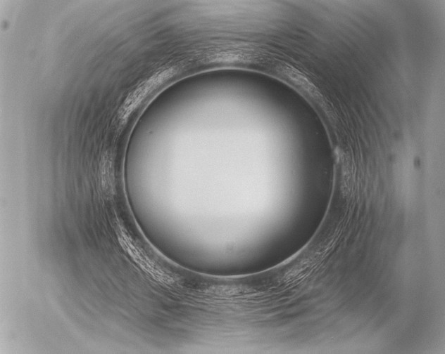 X0000056360482200508261341
