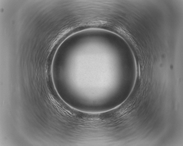 X0000056360483200508261341