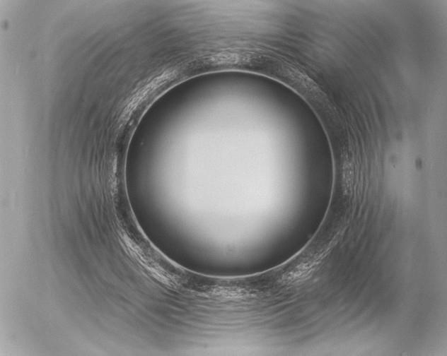 X0000056360490200508261341