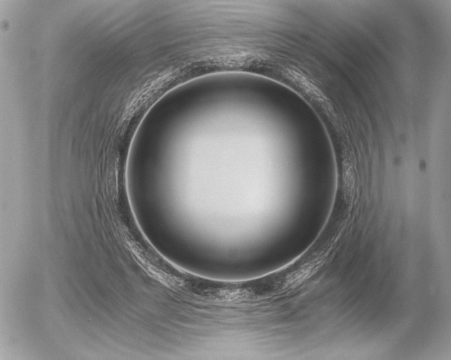 X0000056360493200508261341