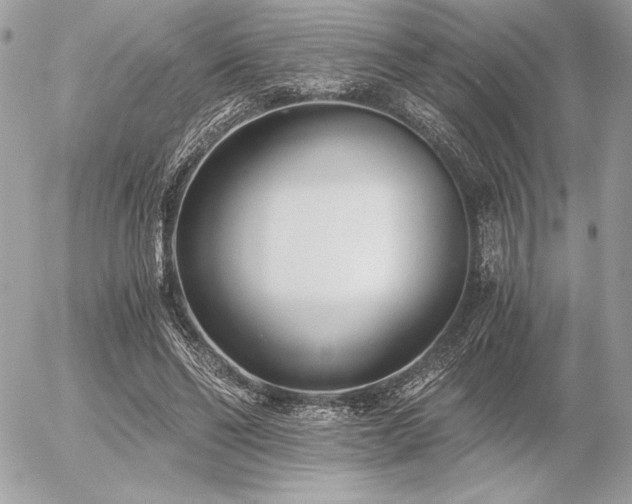 X0000056360494200508261341