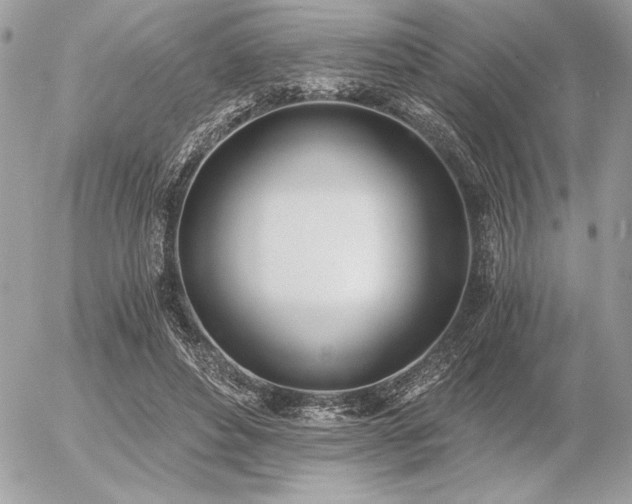 X0000056360496200508261341
