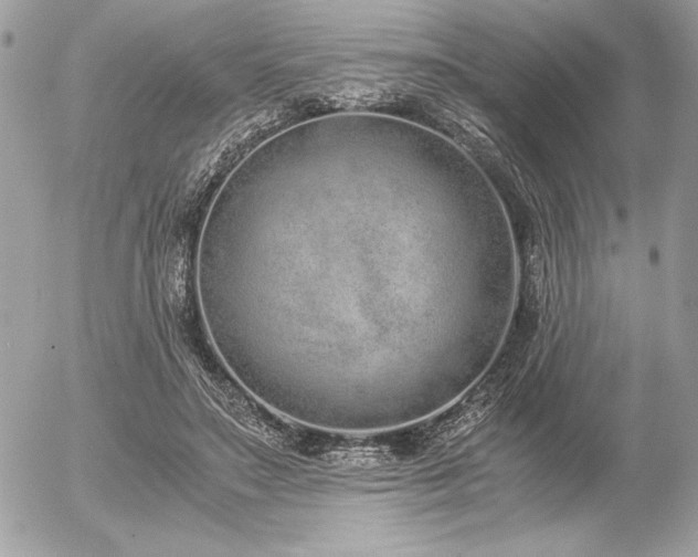 X0000056360499200508261341