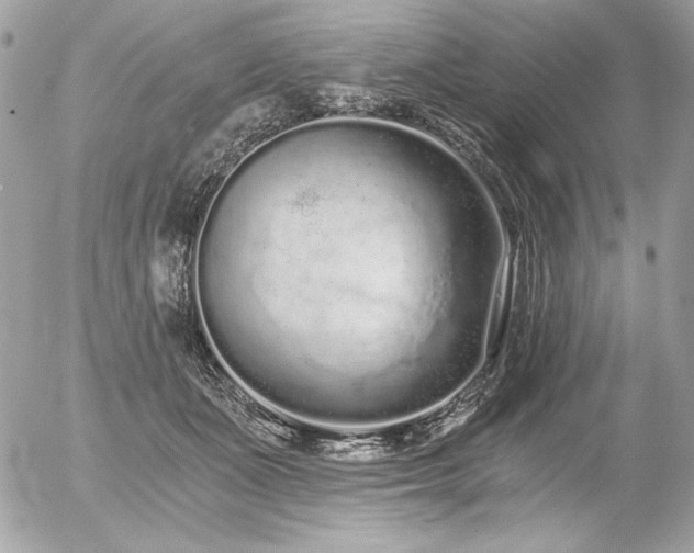 X0000056360511200508261341