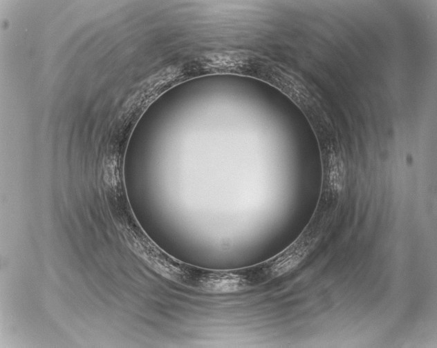 X0000056360514200508261341